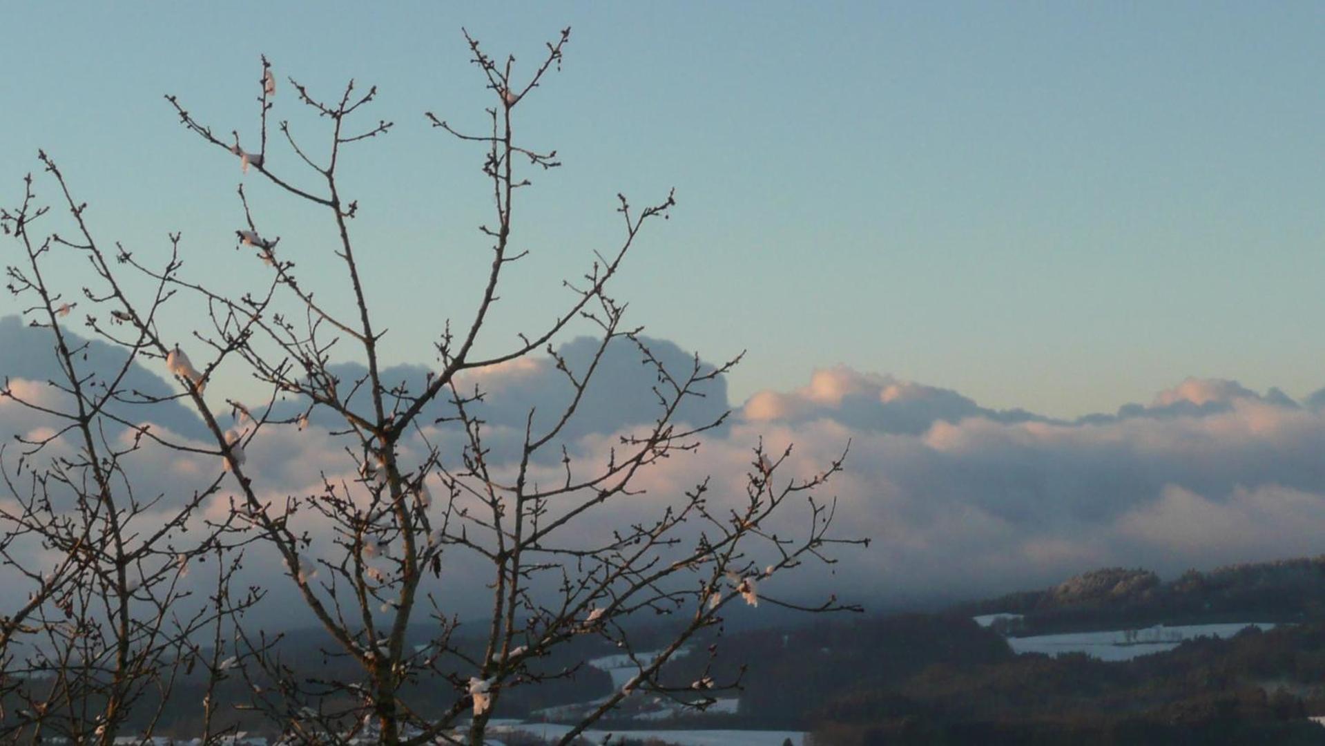 Ferienwohnungen Alpenblick Mit Garten -Panoramasauna- Kirchdorf im Wald Kültér fotó
